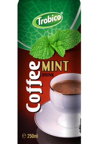 250ml Coffee mint drink alu can